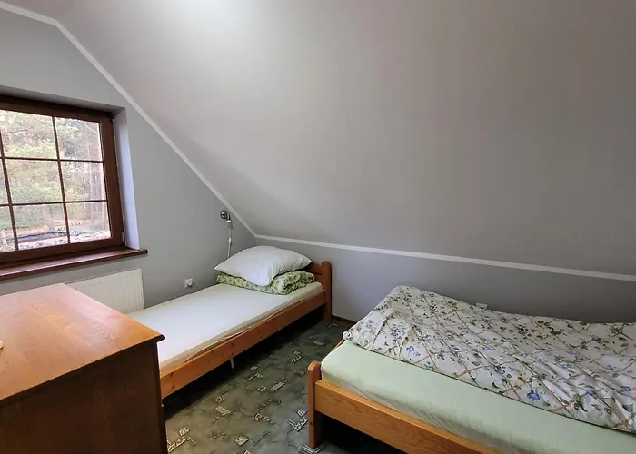 Kaszubskie Zacisze Dom Nad Jeziorem, Sauna, Balia Ogrodowa וילה *