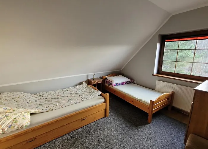 Kaszubskie Zacisze Dom Nad Jeziorem, Sauna, Balia Ogrodowa וילה